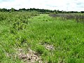 Landscape photograph of Goose Creek Grasslands Nature Sanctuary