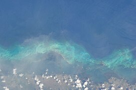 Du cayo Ines de Soto au cayo Arenas