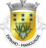 Coat of arms of Espinho