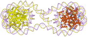 1zbb: Structure of the 4_601_167 Tetranucleosome