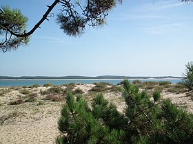 La pointe de Gatseau et les côtes de la presqu'île d'Arvert.