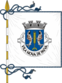 Bandeira de Vila Nova de Paiva