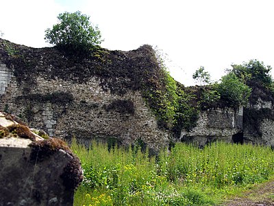 Côté extérieur des vestiges du rempart nord (état en juin 2007).