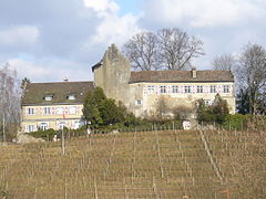 Schloss Schwandegg in Waltalingen