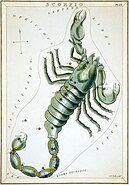 Plate 23: Scorpio