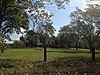 Whitehall Plantation House