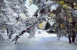 Дороги до с. Куліші