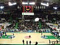 La Tribuna centrale prima di una partita di Eurolega, nel 2011