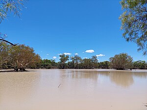 Cuttaburra Channel