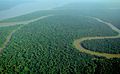 Image 28The Amazon rainforest alongside the Solimões River, a tropical rainforest. These forests are the most biodiverse and productive ecosystems in the world. (from Forest)