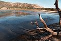 Borax Lake Site