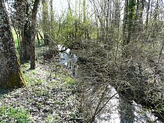 Le Boulou au nord du village de Saint-Crépin-de-Richemont.