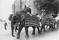 Une parade d’elephants avec ses dresseurs indiens, en 1926.