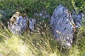 Dolmen de la Ferrière