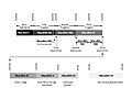 Graphical display of Ebla's fluctuating fortunes