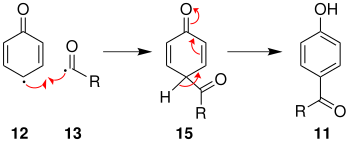 Mechanismus 3 der Photo-Fries-Umlagerung über Radikale