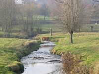 River Gulp near Slenaken