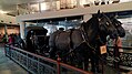 The buggy of the president, now preserved in the Garage Museum.