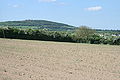 A field in Milltown with the Hill of Allen in the distance.