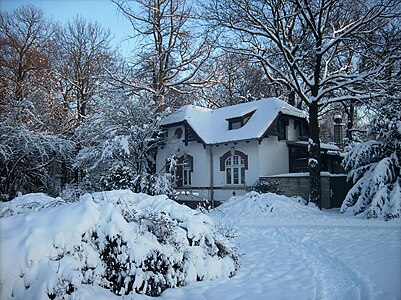 Le parc en hiver