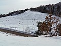 金谷山スキー場（東側）