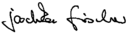 Assinatura de Joschka Fischer