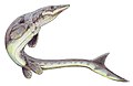 Platecarpus