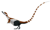 Artist's restoration of Sinosauropteryx.