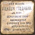 Wilhelm Goldmann