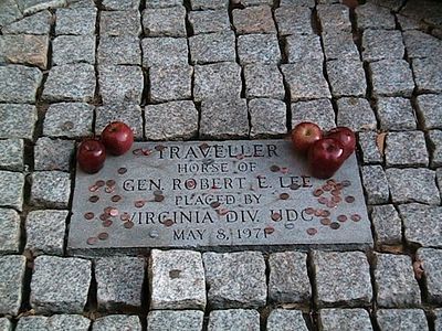 Traveler - Horse of General Robert E. Lee