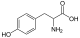 酪氨酸 Tyrosine