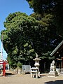 宇都宮神社古墳