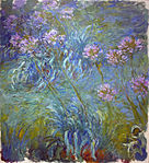 Agapanthus, between 1914 and 1926, Museum of Modern Art, New York