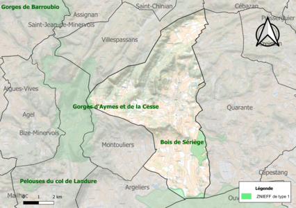 Carte des ZNIEFF de type 1 sur la commune.