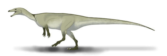 Buriolestes schultzi restoration