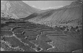 Near the Shibar Pass that connects Parwan to Bamyan.