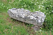 Dolmen de la Boissonnière