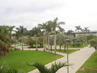 Florida Atlantic University