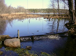 Utloppet mot Dammtorpssjön