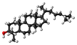 Ball-and-stick model of lanosterol