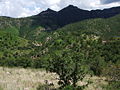 Cumbre Majalca, Majalca National Park, north of Chihuahua City