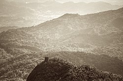 El Yunque Rain Forest and Mt. Britton Tower as seen from Mameyes II