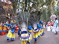 Peacock Dance