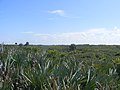 Natural landscape at North Peninsula State Park