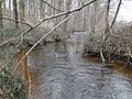 Reppeliner Bachtal Nature Reserve