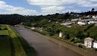 River Tamar from Calstock Viaduct