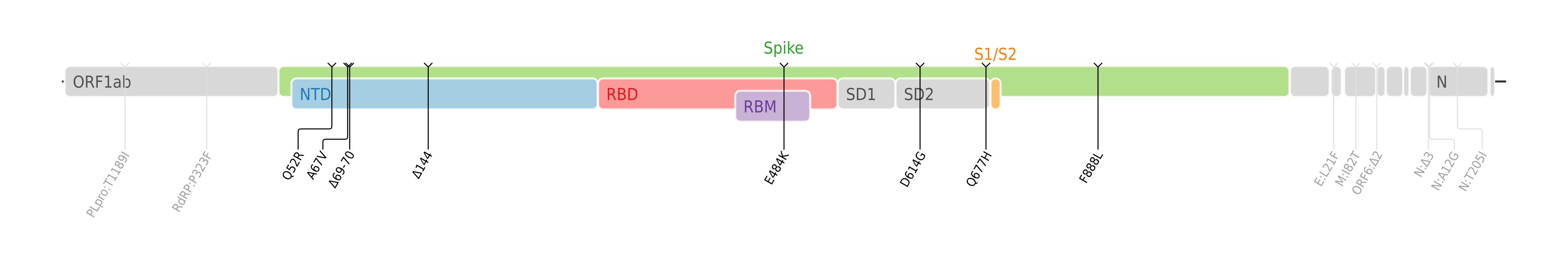 Amino acid mutations of SARS-CoV-2 Eta variant plotted on a genome map of SARS-CoV-2 with a focus on the spike.[5]