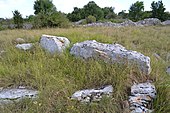 Menhir d'Angles