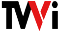 Logotipo de TVVI entre 2008 y 2010.