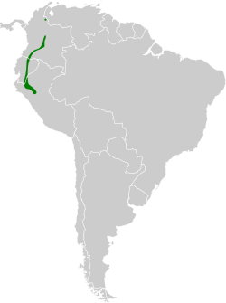 Distribución geográfica del batará vermiculado.